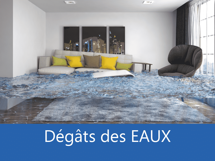 dégâts des eaux 66, expert inondation Perpignan, contre expertise inondation Pyrénées-Orientales,,